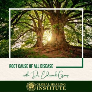 The Root Cause Of Disease--Global Healing Institute-Product-With Dr Edward Group