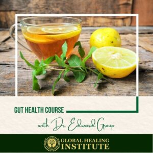 Gut Health Course-Global Healing Institute-Product-With Dr Edward Group