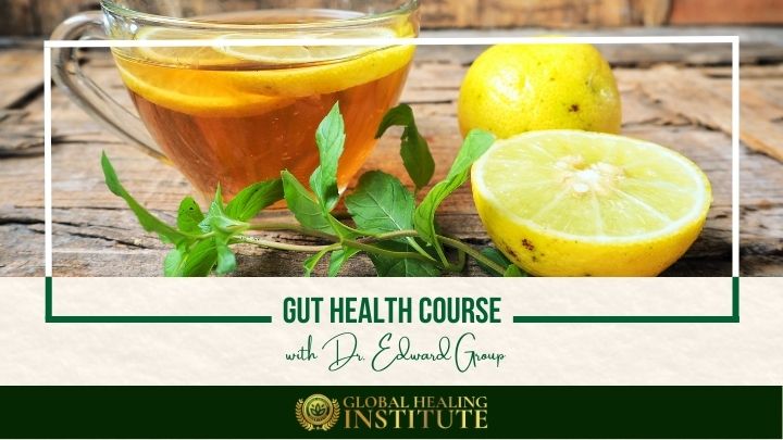 Gut Health Course Global Healing Institute