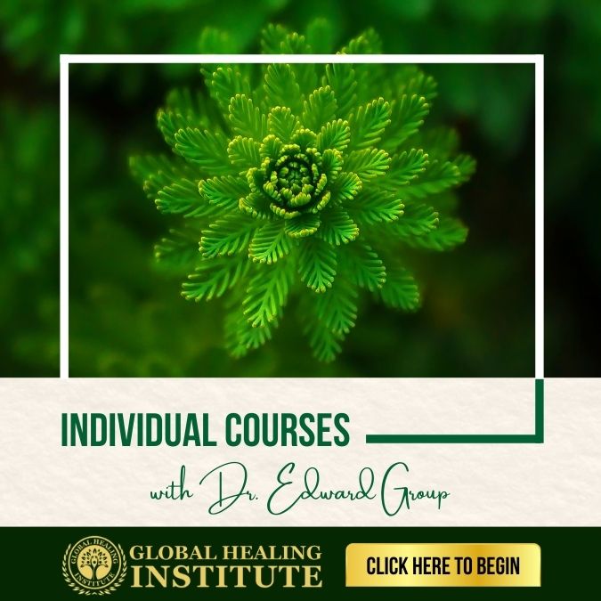 Global Healing Institute-Shop Individual Courses-Dr Edward Group