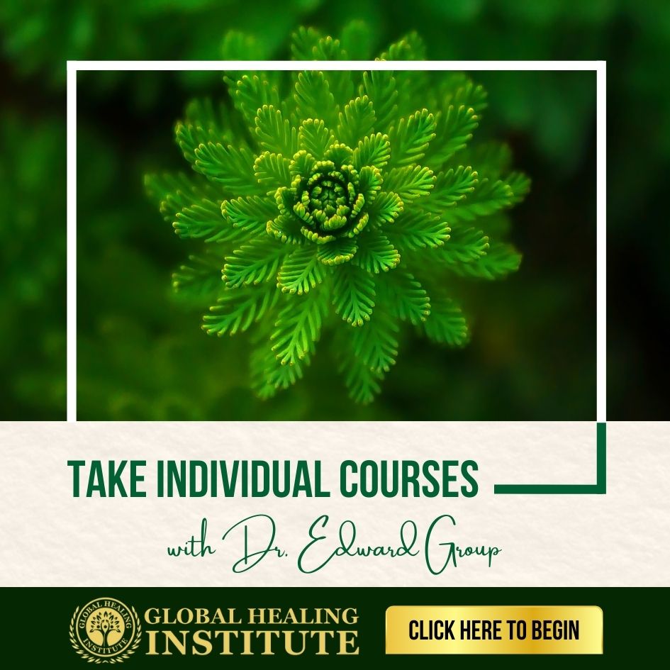 Global Healing Institute-Take Individual Courses-Dr. Edward Group