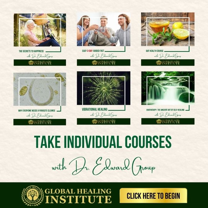 Take Individual Courses at Global Healing Institute with Dr Edward Group