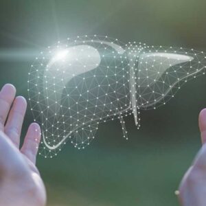 The Liver–Mind Connection How Toxins Hijack Your Thoughts, Mood & Clarity | Global Healing Institute | Dr Edward Group