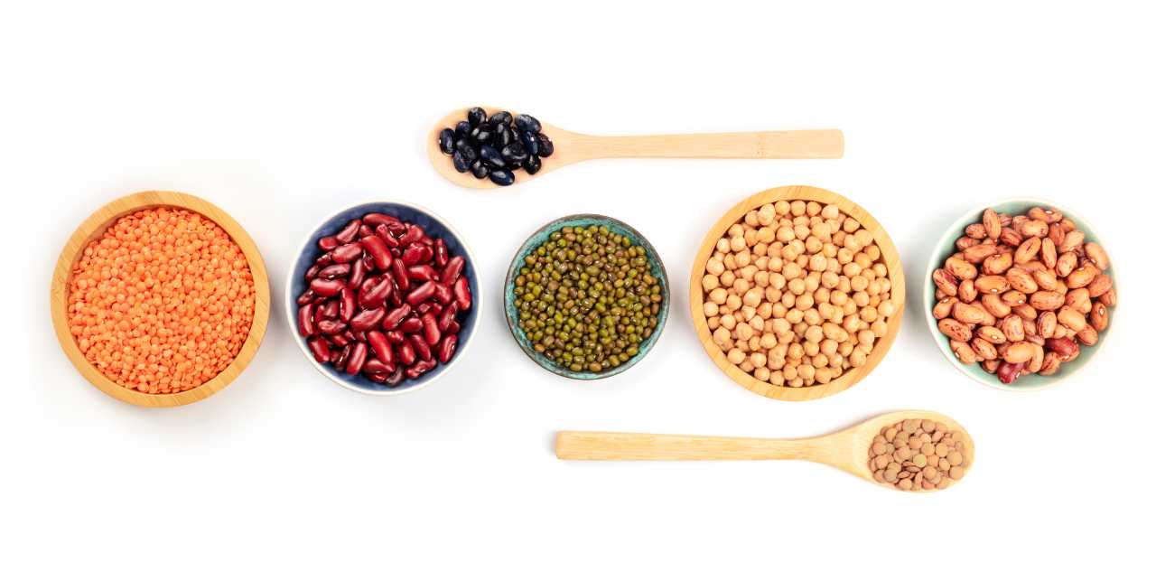 Do You Really Need That Much Protein | Dr. Edward Group | Global Healing Institute