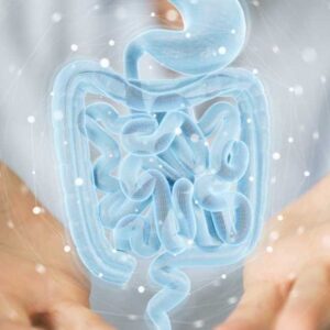 How to Heal the Gut Naturally—Without Harsh Medications or Restrictive Diets | Dr. Edward Group | Global Healing Institute