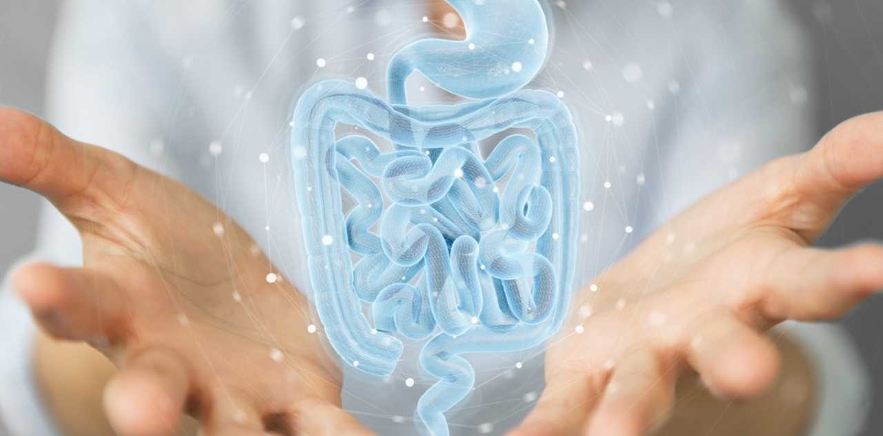 How to Heal the Gut Naturally—Without Harsh Medications or Restrictive Diets | Dr. Edward Group | Global Healing Institute