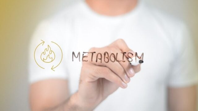 Metabolism as a Mirror of Internal Health: How Weight Gain Signals Toxicity, Deficiency, and Energetic Congestion