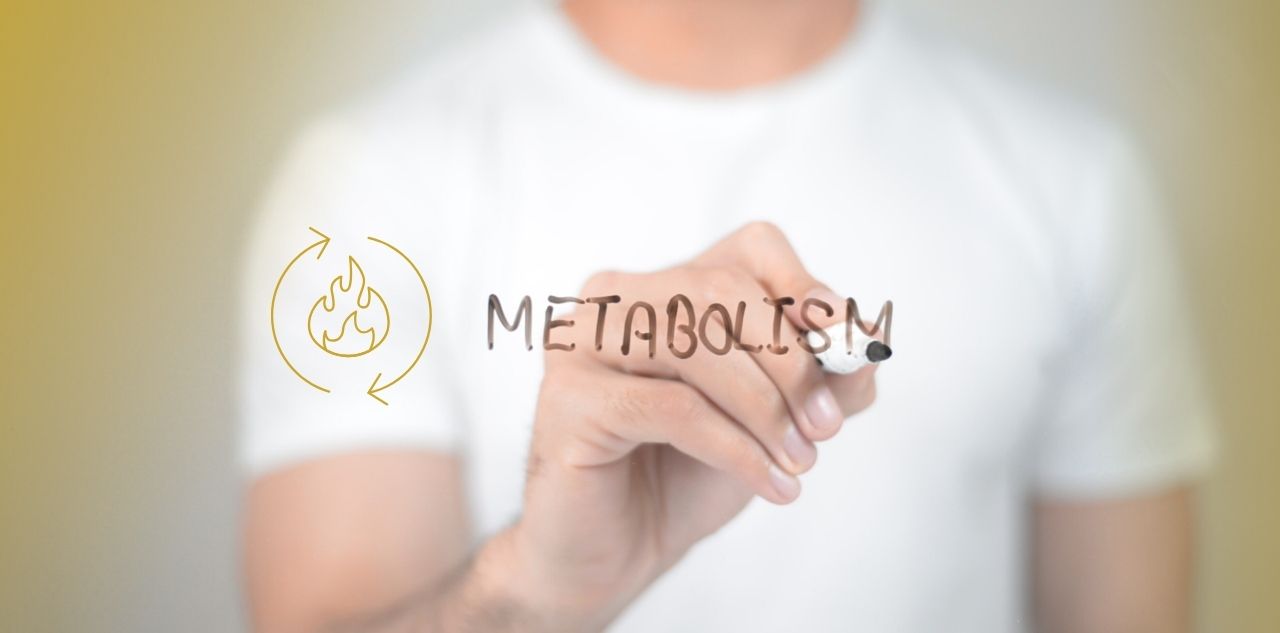 Metabolism as a Mirror of Internal Health: How Weight Gain Signals Toxicity, Deficiency, and Energetic Congestion