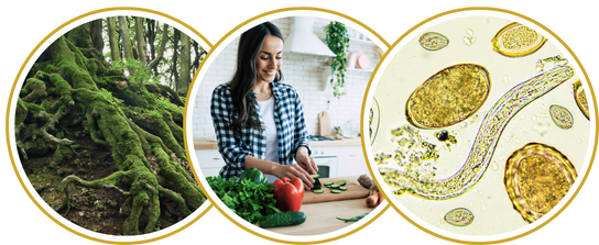 Vibrant Healing Detox Bundle